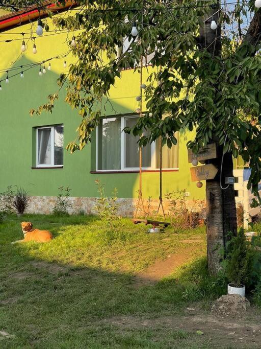 Casa Din Povesti In Mijlocul Naturii! Arad Exterior photo